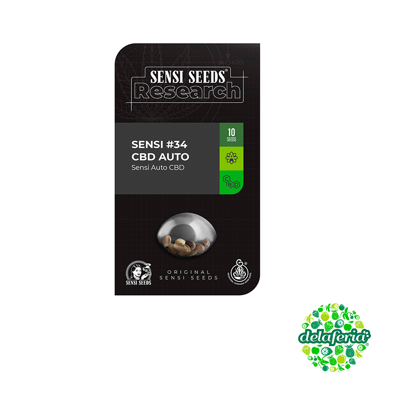 Sensi #34 CBD Auto