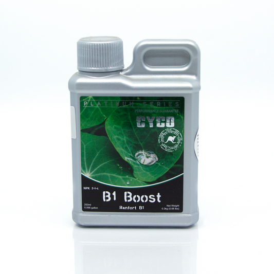 B1 Boost 250ml