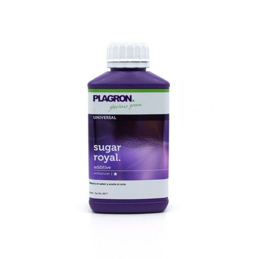 Sugar Royal