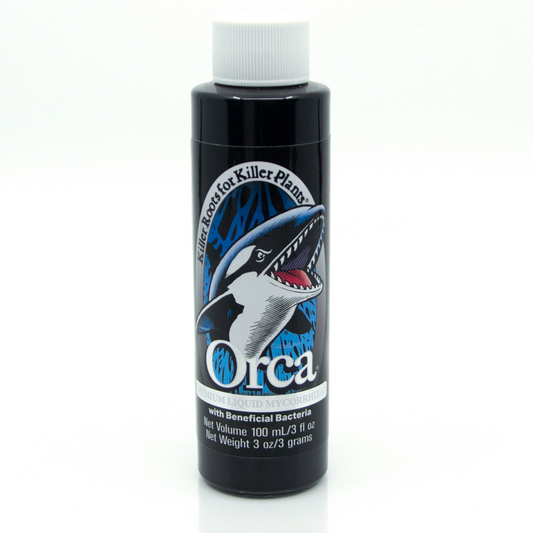 Orca