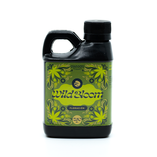 Wild Bloom