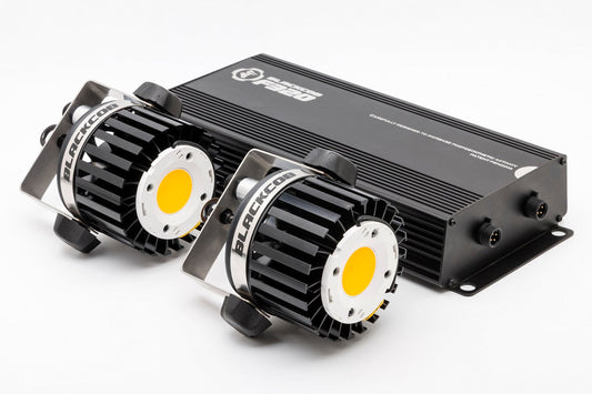 Led Blackcob F320