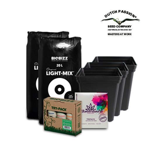 Auto Mazar + Pack Cultivo Exterior