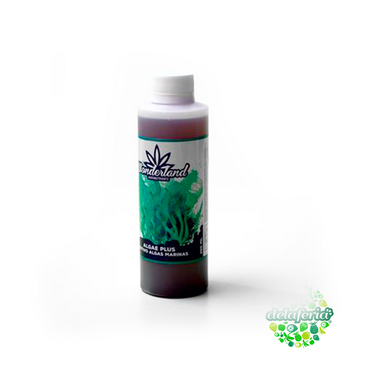 Algae Plus - Wonderland