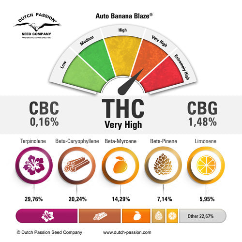 Auto Banana Blaze®