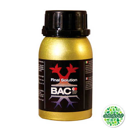 Final Solution Bac