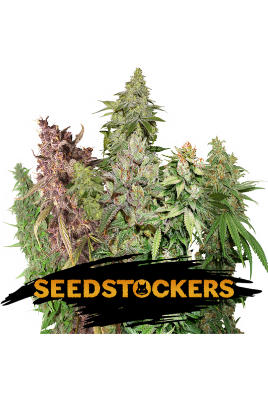 Sativa Auto Mix